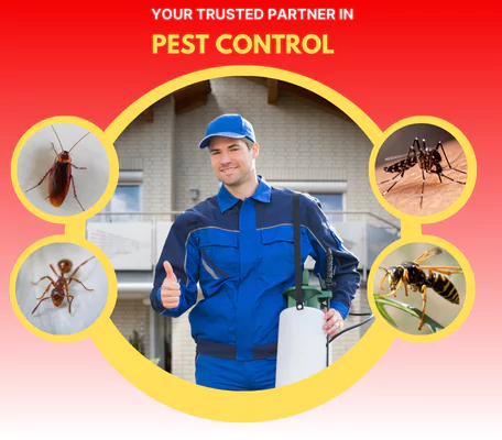 Pest Control Woodend